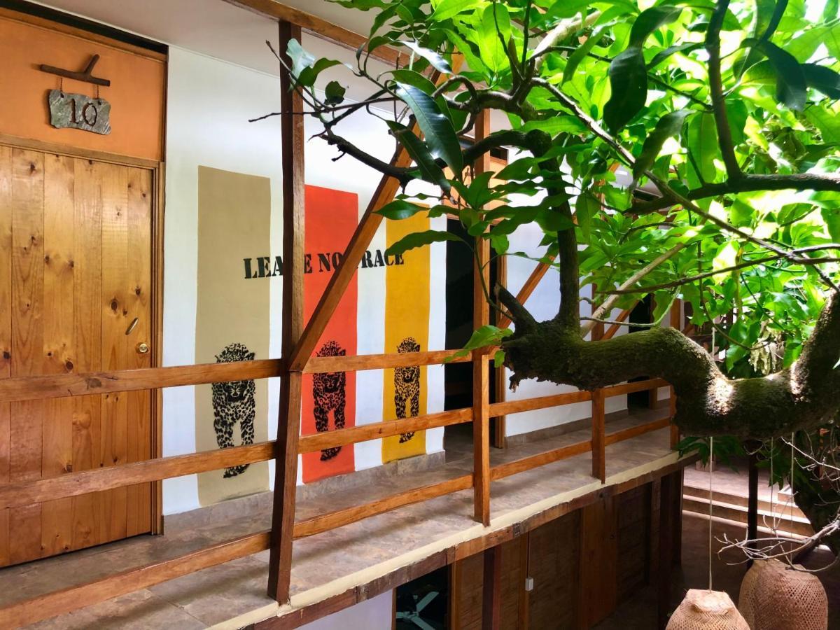 Refugio Del Jaguar Medellín Exterior foto
