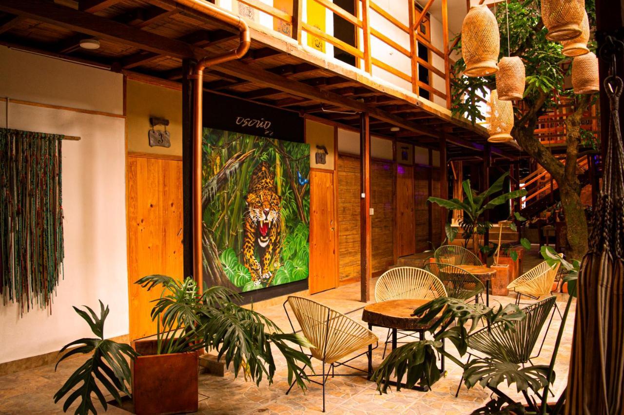 Refugio Del Jaguar Medellín Exterior foto