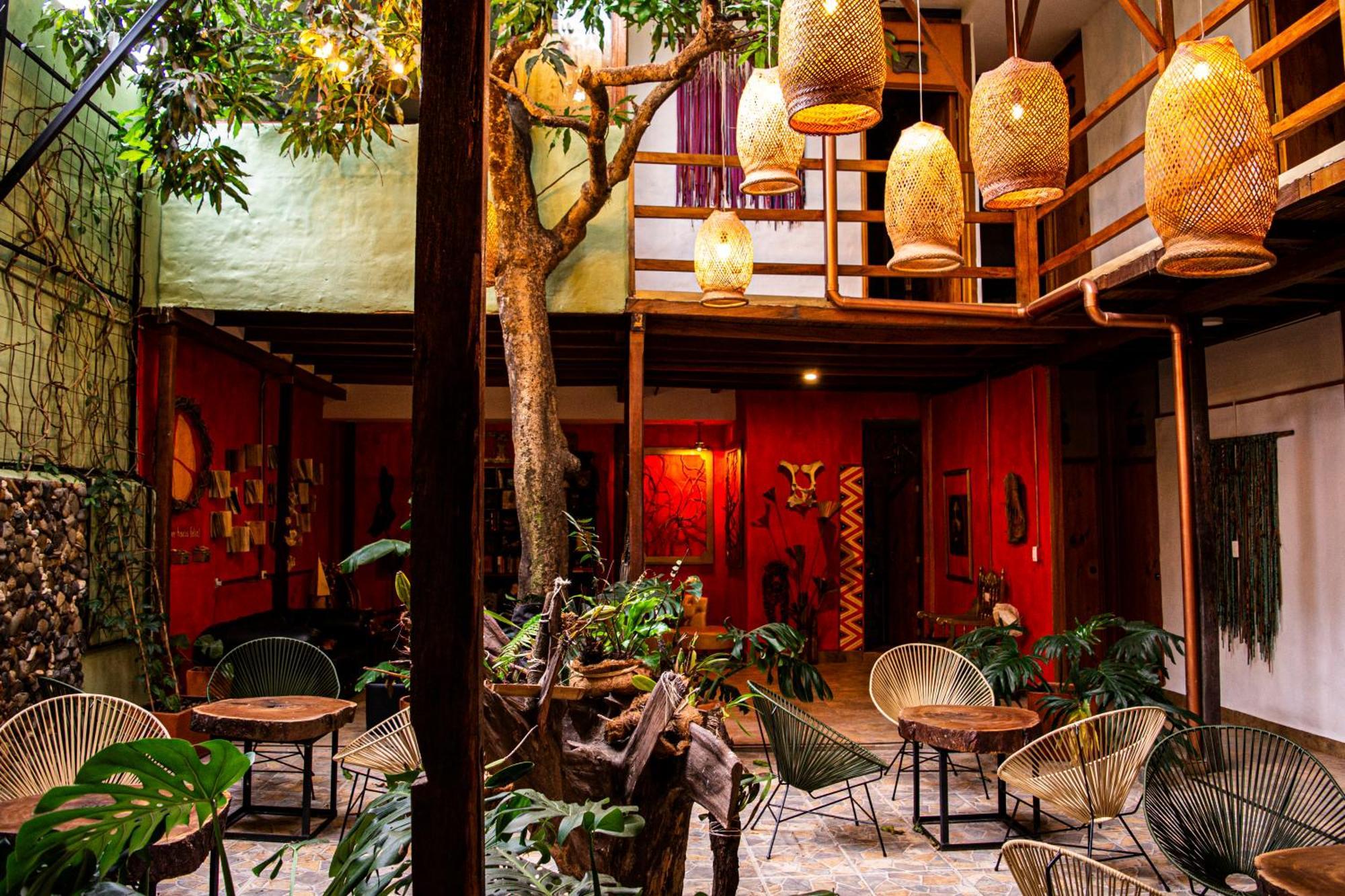 Refugio Del Jaguar Medellín Exterior foto