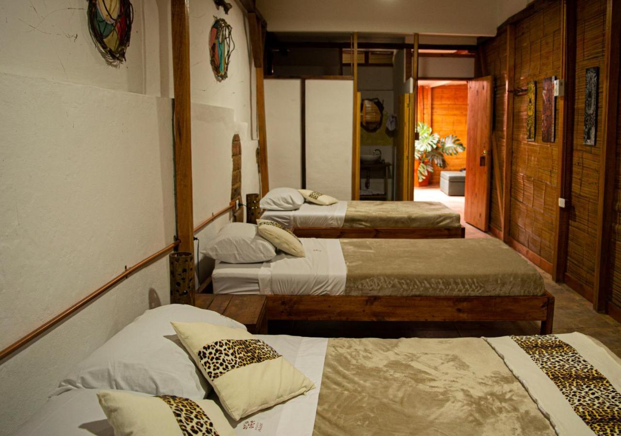 Refugio Del Jaguar Medellín Exterior foto